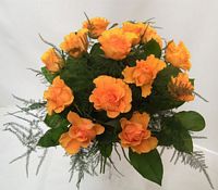 Bouquet de petites roses jaunes, asparagus, salal